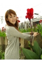 小林眞琴 - 赤い花